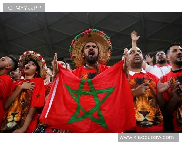 网络直播摩洛哥对阵伊朗精彩赛事回顾与分析全场亮点一网打尽