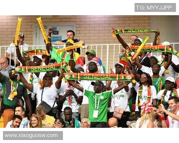 南非与塞内加尔激战在即11月11日精彩对决值得期待