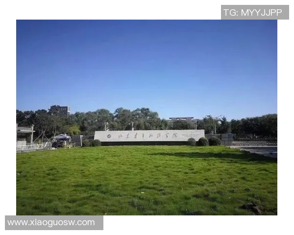 开封足球比赛直播观看指南及平台推荐一览